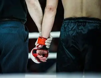 MMA : UFC Classiques - La revanche de Jon Jones – affiche