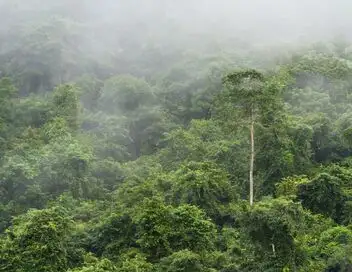 La jungle, mon père et Ed Stafford - Saison 1 – affiche