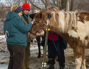 L'incroyable Dr Pol - Saison 9 - Tempête de neige – affiche