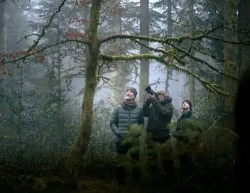 Le Chant des forêts – affiche