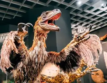 42, la réponse à presque tout - À quoi ressemblaient les dinosaures ? – affiche