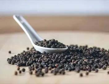 Dis-moi ce que tu manges : Une histoire de l'alimentation – affiche