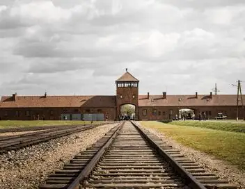 Nous, les Européens - Auschwitz : les gardiens de la mémoire – affiche