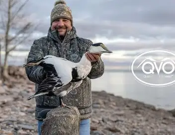 Québec à vol d'oiseau - Saison 16 - Chasse de la bernache du Canada à la Pourvoirie Goose Shack – affiche