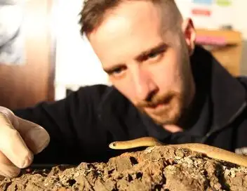 Les superpouvoirs des animaux - Saison 1 - Les yeux plus gros que le ventre – affiche
