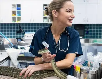 Australie : urgences faune sauvage - Saison 3 - Un ornithorynque en détresse – affiche