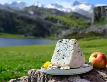 Le cabrales, un fromage espagnol en danger" - Episode 23 – affiche