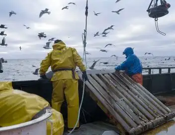 Péril en haute mer - Saison 20 - Prendre soin des marsouins – affiche