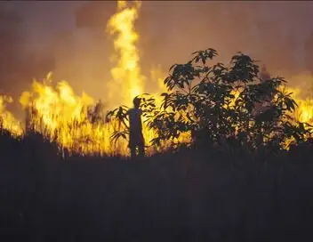 Terres d'urgence - Amazonie : le combat pour la biodiversité – affiche