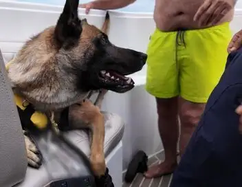 Enquête d'action - Gendarmes de Cannes : festival de délits sur la Côte d'Azur (1/2) – affiche