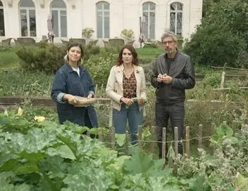 En Terre ferme - Michel Cymes – affiche