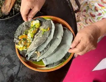 Voyage en cuisine - Mexique : la quesadilla – affiche