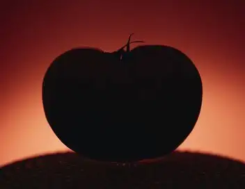 On va déguster - Retrouver le goût de la tomate – affiche