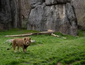 Une saison au zoo - Saison 10 – affiche