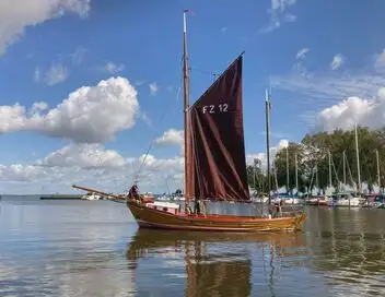 L'estuaire du fleuve Oder : Une lagune à l'écosystème foisonnant – affiche
