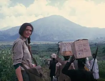 Dian Fossey : des secrets dans la brume – affiche