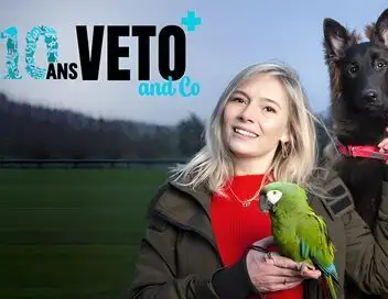 Véto & Co - Saison 10 – affiche