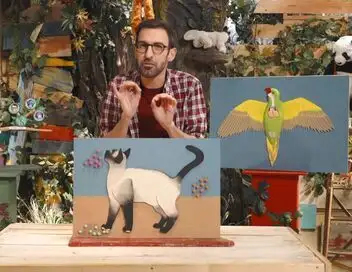 C'est toujours pas sorcier - Saison 8 - Animaux : il ne leur manque que la parole ! – affiche