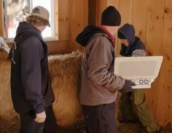 L'incroyable Dr Pol - Saison 13 - Au pays des rennes – affiche