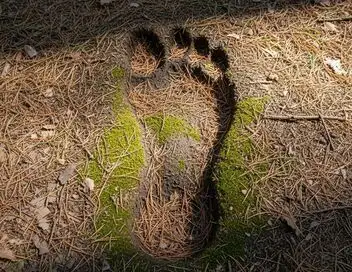 Expedition Bigfoot - Saison 4 - La main de la créature – affiche