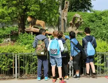 Une saison au zoo - Saison 10 – affiche