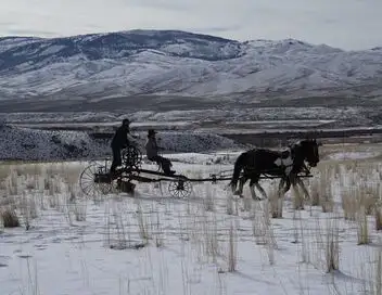 Seuls face à l'Alaska - Saison 12 - Alaska : aventuriers nés – affiche