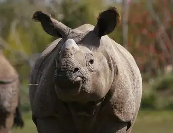 Une saison au zoo - Saison 10 – affiche