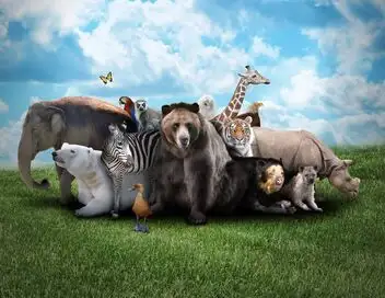 La dynastie des chiens de prairie - Saison 1 - Le bon, la brute et le cajoleur – affiche