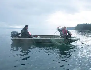 Life Below Zero: Port Protection Alaska - Le cycle de la survie – affiche
