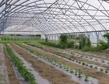 A la source - Loire Bretagne : Peut-on faire de l'agriculture avec juste de l'eau de pluie ? – affiche