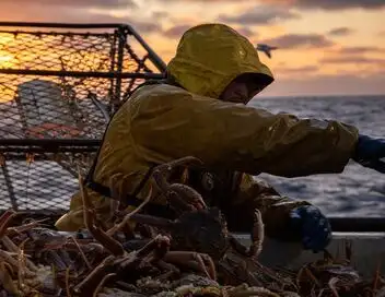 Péril en haute mer - Saison 20 - Dans le noir – affiche