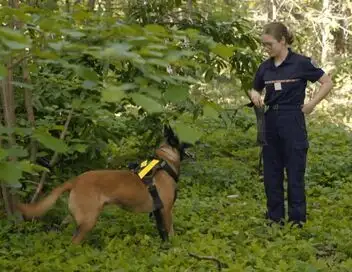 A l'école des pompiers - Saison 1 - Chiens, drones et haute voltige – affiche