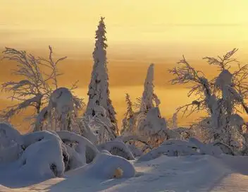 Terres de glace - Saison 2 - Le Grand Nord – affiche