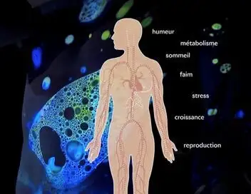 36,9° - Ces hormones qui nous gouvernent – affiche