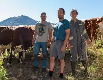 La Ferme des Bertrand – affiche
