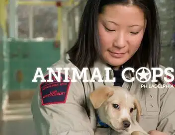 Animal cops Philadelphia - Saison 17 - A la rescousse – affiche