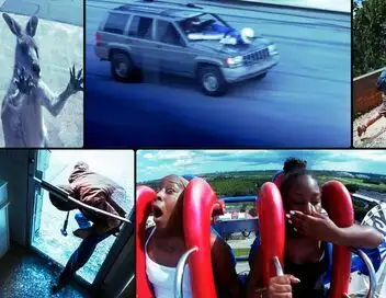 Sur le vif : vidéos insolites - Saison 2 - Nu, cru et vu – affiche