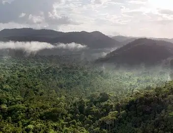 Sur la piste du jaguar au Guyana – affiche