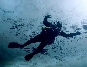 Thalassa, aventures extrêmes - Saison 2 - Arctique, l'océan blanc – affiche