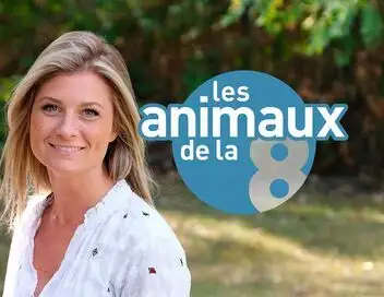 Les animaux de la 8 - Dans les Alpes, des animaux au sommet – affiche