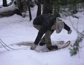 Seuls face à l'Alaska - Saison 14 - Cap sur l'inconnu – affiche