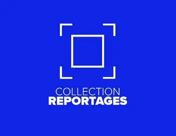 Collection Reportages - RD Congo : les palmiers du sang – affiche