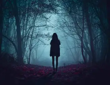 Paranormal Collector - Saison 3 - Tempête de fantômes – affiche