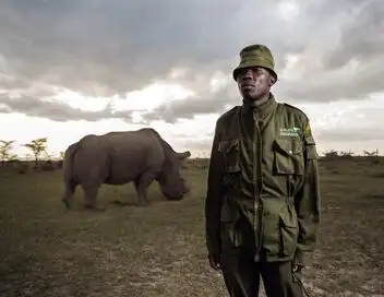 Le dernier rhinocéros blanc – affiche