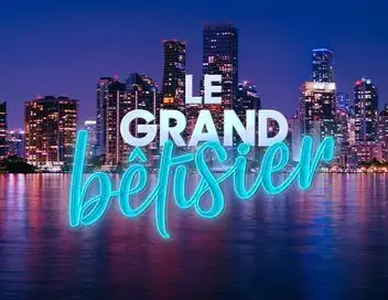 Le grand bêtisier – affiche
