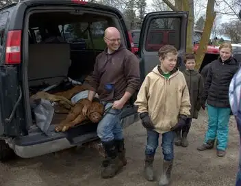 L'incroyable Dr Pol - Saison 13 - Il était une foire – affiche