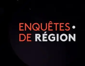 Enquêtes de région - Pays de la Loire – affiche