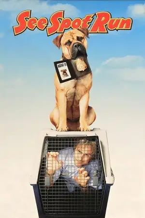 Spot – affiche
