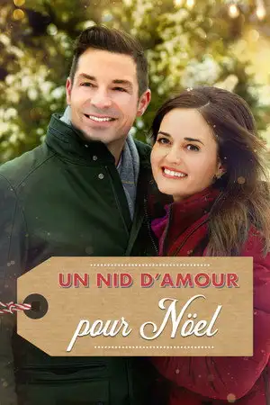 Un nid d'amour pour Noël – affiche