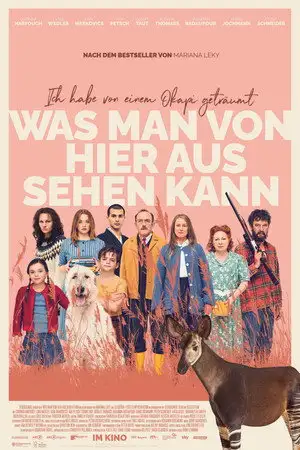 Le rêve de l'Okapi – affiche